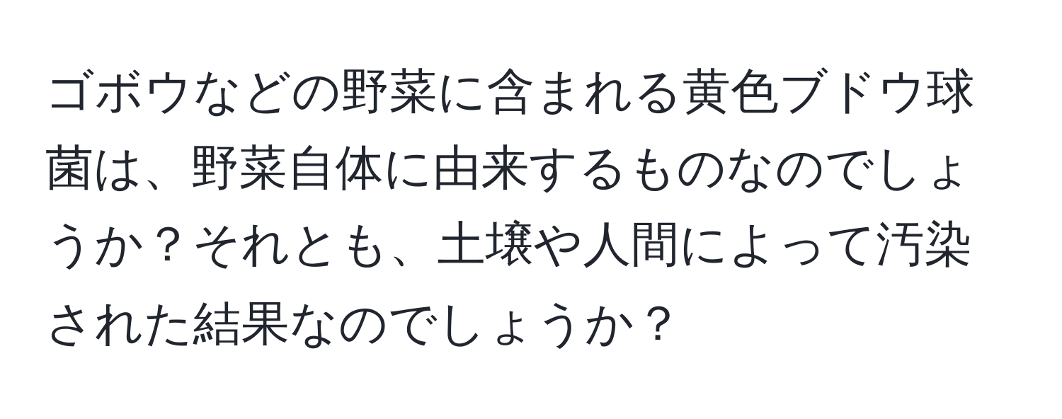 ゴボウなどの野菜に含まれる黄色ブドウ球菌は、野菜自体に由来するものなのでしょうか？それとも、土壌や人間によって汚染された結果なのでしょうか？