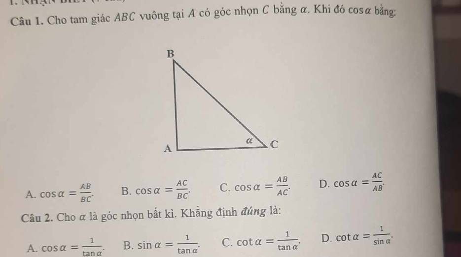 Cho tam giác ABC vuông tại A có góc nhọn C bằng α. Khi đó cosα bằng:
A. cos alpha = AB/BC . B. cos alpha = AC/BC . C. cos alpha = AB/AC . D. cos alpha = AC/AB . 
Câu 2. Cho α là góc nhọn bắt kì. Khẳng định đúng là:
A. cos alpha = 1/tan alpha  . B. sin alpha = 1/tan alpha  . C. cot alpha = 1/tan alpha  . D. cot alpha = 1/sin alpha  .