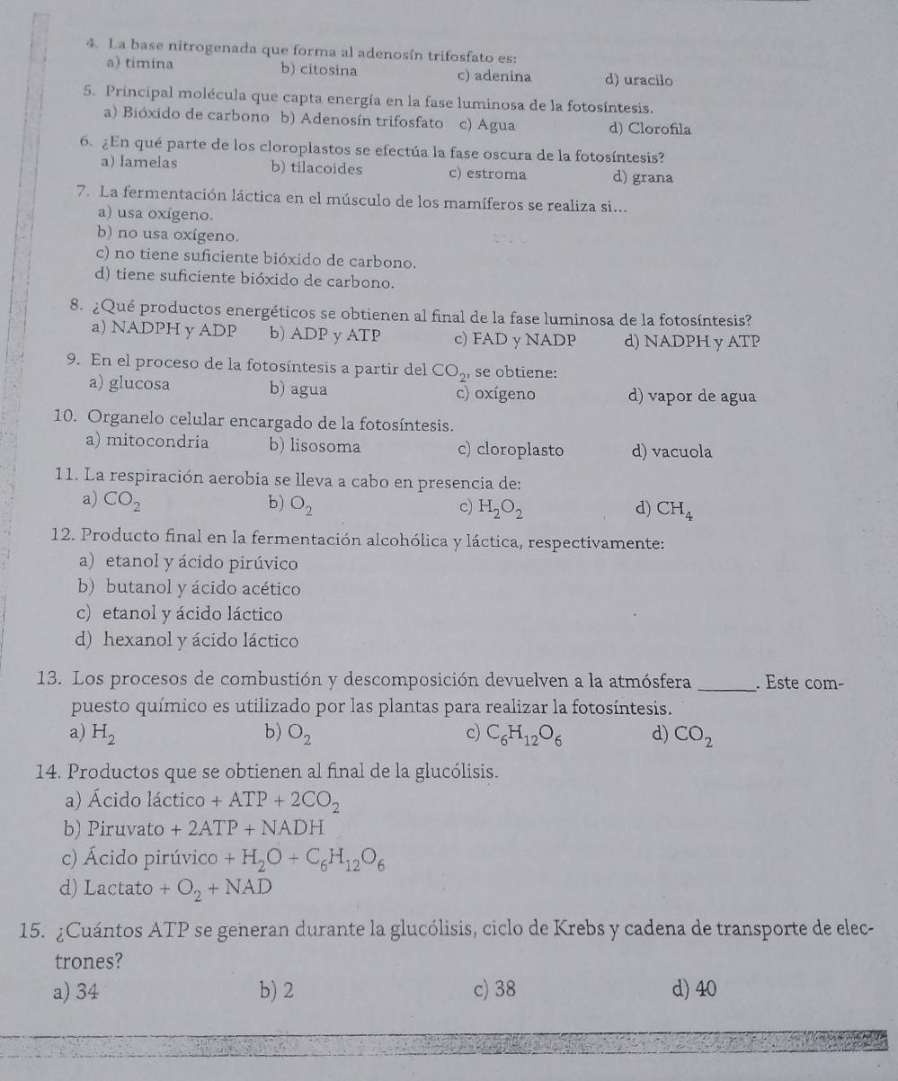 La base nitrogenada que forma al adenosín trifosfato es:
a) timina b) citosina c) adenina d) uracilo
5. Principal molécula que capta energía en la fase luminosa de la fotosíntesis.
a) Bióxido de carbono b) Adenosín trifosfato c) Agua d) Clorofila
6. ¿En qué parte de los cloroplastos se efectúa la fase oscura de la fotosíntesis?
a) lamelas b) tilacoides c) estroma d) grana
7. La fermentación láctica en el músculo de los mamíferos se realiza si...
a) usa oxígeno.
b) no usa oxígeno.
c) no tiene suficiente bióxido de carbono.
d) tiene suficiente bióxido de carbono.
8. ¿Qué productos energéticos se obtienen al final de la fase luminosa de la fotosíntesis?
a) NADPH y ADP b) ADP y ATP c) FAD y NADP d) NADPH y ATP
9. En el proceso de la fotosíntesis a partir del CO_2 , se obtiene:
a) glucosa b) agua c) oxígeno d) vapor de agua
10. Organelo celular encargado de la fotosíntesis.
a) mitocondria b) lisosoma c) cloroplasto d) vacuola
11. La respiración aerobia se lleva a cabo en presencia de:
a) CO_2 b) O_2 c) H_2O_2 d) CH_4
12. Producto final en la fermentación alcohólica y láctica, respectivamente:
a) etanol y ácido pirúvico
b) butanol y ácido acético
c) etanol y ácido láctico
d) hexanol y ácido láctico
13. Los procesos de combustión y descomposición devuelven a la atmósfera _. Este com-
puesto químico es utilizado por las plantas para realizar la fotosíntesis.
a) H_2 b) O_2 c) C_6H_12O_6 d) CO_2
14. Productos que se obtienen al final de la glucólisis.
a) Ácido láctico +ATP+2CO_2
b) Piruvato + 2A TP+NADH
c) Ácido pirúvico +H_2O+C_6H_12O_6
d) Lactato +O_2+NAD
15. ¿Cuántos ATP se generan durante la glucólisis, ciclo de Krebs y cadena de transporte de elec-
trones?
a) 34 b) 2 c) 38 d) 40