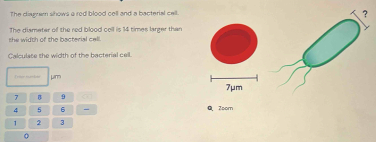 Solved: The diagram shows a red blood cell and a bacterial cell. ? The ...