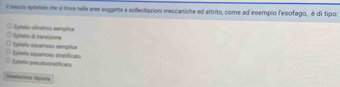 tessuto epiteliale che si trova nelle aree soggette a sollecitazioni meccaniche ed attrito, come ad esempio l'esofago, è di tipo:
Epitelio cilindrico semplice
Epitelio di transizione
Epitelio squamoso semplice
Epitelio squamoso stratificato
Epítelio pseudostratificato
Deseleziona risposta