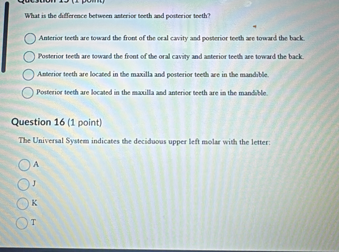 Solved: What is the difference between anterior teeth and posterior ...