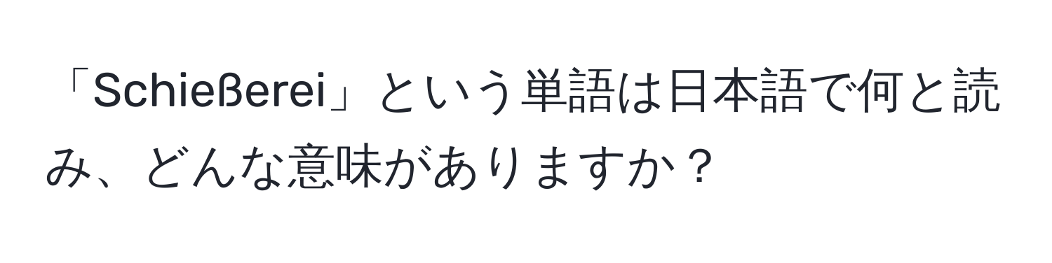 「Schießerei」という単語は日本語で何と読み、どんな意味がありますか？