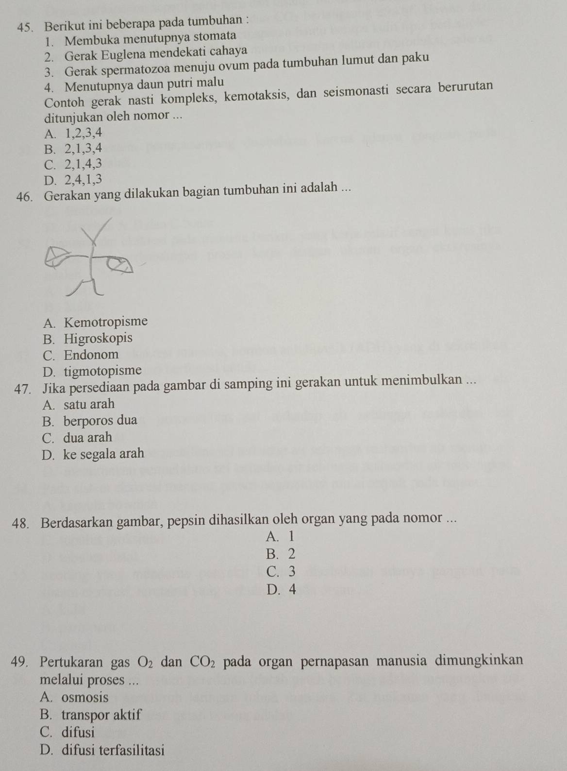 Berikut ini beberapa pada tumbuhan :
1. Membuka menutupnya stomata
2. Gerak Euglena mendekati cahaya
3. Gerak spermatozoa menuju ovum pada tumbuhan lumut dan paku
4. Menutupnya daun putri malu
Contoh gerak nasti kompleks, kemotaksis, dan seismonasti secara berurutan
ditunjukan oleh nomor ...
A. 1, 2, 3, 4
B. 2, 1, 3, 4
C. 2, 1, 4, 3
D. 2, 4, 1, 3
46. Gerakan yang dilakukan bagian tumbuhan ini adalah ...
A. Kemotropisme
B. Higroskopis
C. Endonom
D. tigmotopisme
47. Jika persediaan pada gambar di samping ini gerakan untuk menimbulkan ...
A. satu arah
B. berporos dua
C. dua arah
D. ke segala arah
48. Berdasarkan gambar, pepsin dihasilkan oleh organ yang pada nomor ...
A. 1
B. 2
C. 3
D. 4
49. Pertukaran gas O_2 dan CO_2 pada organ pernapasan manusia dimungkinkan
melalui proses ...
A. osmosis
B. transpor aktif
C. difusi
D. difusi terfasilitasi