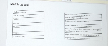 Match up task