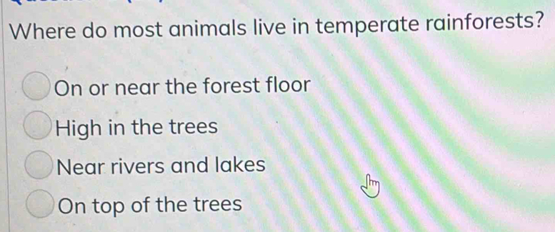 Where do most animals live in temperate rainforests?
On or near the forest floor
High in the trees
Near rivers and lakes
On top of the trees