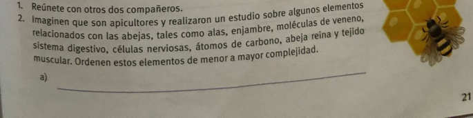 Reúnete con otros dos compañeros. 
2. Imaginen que son apicultores y realizaron un estudio sobre algunos elementos 
relacíonados con las abejas, tales como alas, enjambre, moléculas de veneno, 
sistema digestivo. células nerviosas, átomos de carbono, abeja reina y tejido 
muscular. Ordenen estos elementos de menor a mayor complejidad. 
a) 
_ 
21