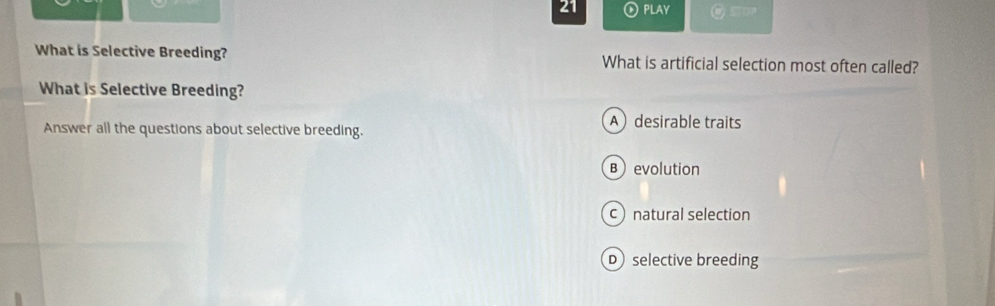 PLAY @ SOP
What is Selective Breeding? What is artificial selection most often called?
What is Selective Breeding?
Answer all the questions about selective breeding.
Adesirable traits
Bevolution
c natural selection
D selective breeding