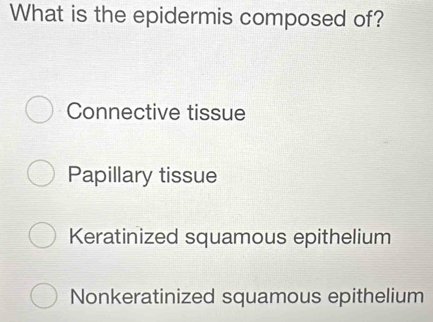 What is the epidermis composed of?
Connective tissue
Papillary tissue
Keratinized squamous epithelium
Nonkeratinized squamous epithelium