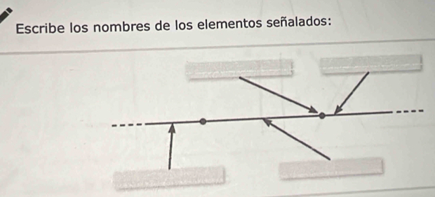 Escribe los nombres de los elementos señalados: