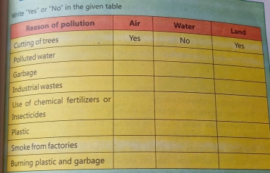 or 'No" in the given table