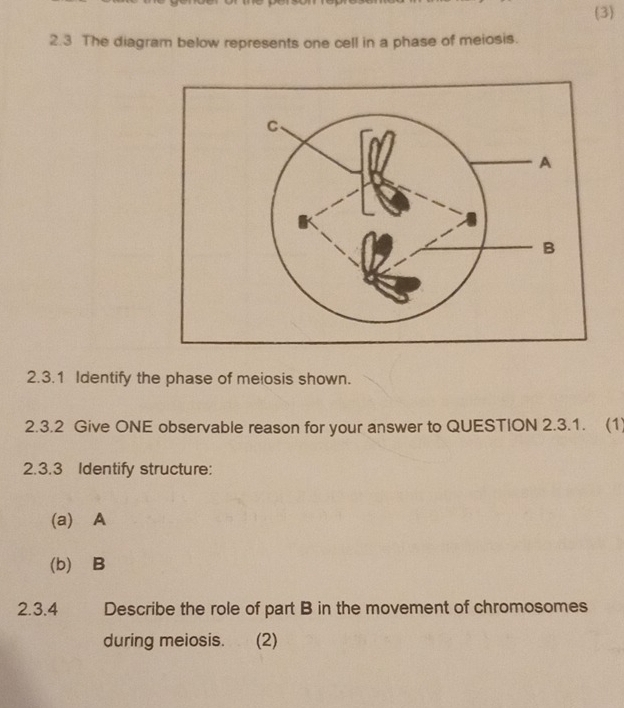 Solved: (3) 2.3 The diagram below represents one cell in a phase of ...
