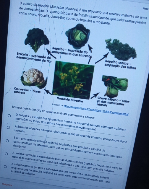 Nota:
O cultivo do repolho (Brassica oleracea) é um processo que envolve milhares de anos
de domesticação. O repolho faz parte da família Brassicaceae, que inclui outras plantas
como couve, brócolis, couve-flor, couve-de-bruxelas e mostarda.
Repolho - supressão do
Brócolis - supressão do
comprimento dos entrenós Repolho crespo -
desenvolvimento da flor ampliação das folhas
Couve-flor - flores Couve-rábano - refor-
estéreis Mostarda Silvestre ço dos meristemas
laterals
mnagem de https://ecologia.ib.usp.br/evosite/evo101/WE4Evochange.shtml
*Sobre a domesticação do repolho assinale a alternativa correta:
O brócolis e a couve-flor apresentam o mesmo ancestral comum, visto que sofreram
mutações ao longo dos anos e passaram pela seleção natural.
brócolis.
A Brassica oleracea não está relacionada a outros vegetais comuns, como couve-flor e
É um processo de seleção artificial de plantas que envolve a escolha de
desejaveis.
características de interesse, para que os descendentes herdem essas características
A seleção artificial é exclusiva de plantas domesticadas (repolho), enquanto a seleção
matural se aplica a todas as espécies adaptadas a um meio com pressão seletiva
A seleção natural garante a sobrevivência dos seres vivos no ambiente natural,
artificial de seleção.
enquanto que na seleção artificial, os seres vivos sobrevivem somente em meio
Obrigatóris