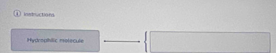 ① instructions
| 
Hydrophilic molecule □