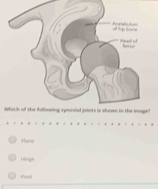 Plane
Hingpe
Pivol