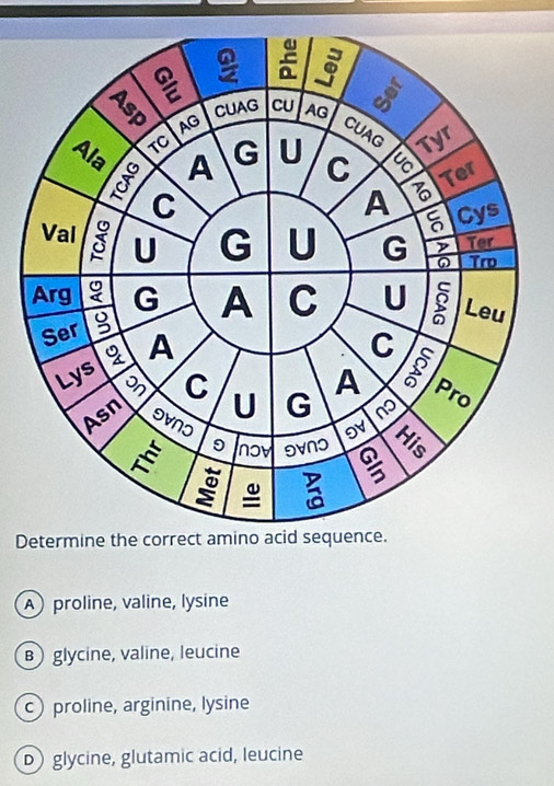 Determine the c
A proline, valine, lysine
B) glycine, valine, leucine
cproline, arginine, lysine
D glycine, glutamic acid, leucine