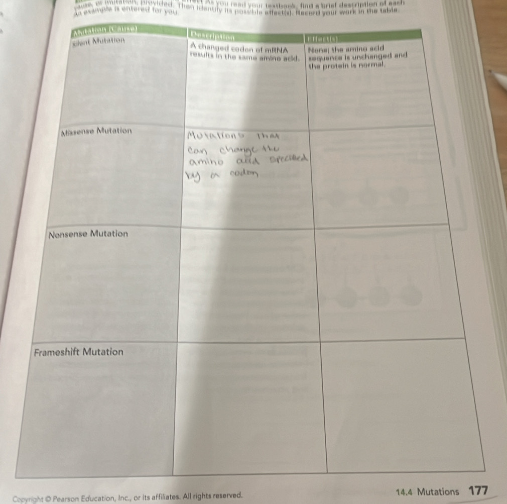 you read your textbook, find a brist description of eash 
rause, or muraton, provided. Then idenuly its possible affect(s). Record your work in the table 
An example is entered for you. 
Copyright @ Pearson Education, Inc., or its affiliates. All rights reserved. 14.4 Mutations 177