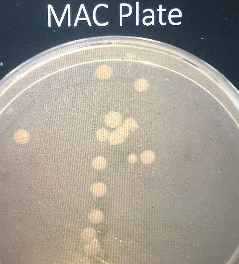 MAC Plate