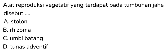 Alat reproduksi vegetatif yang terdapat pada tumbuhan jahe
disebut ....
A. stolon
B. rhizoma
C. umbi batang
D. tunas adventif