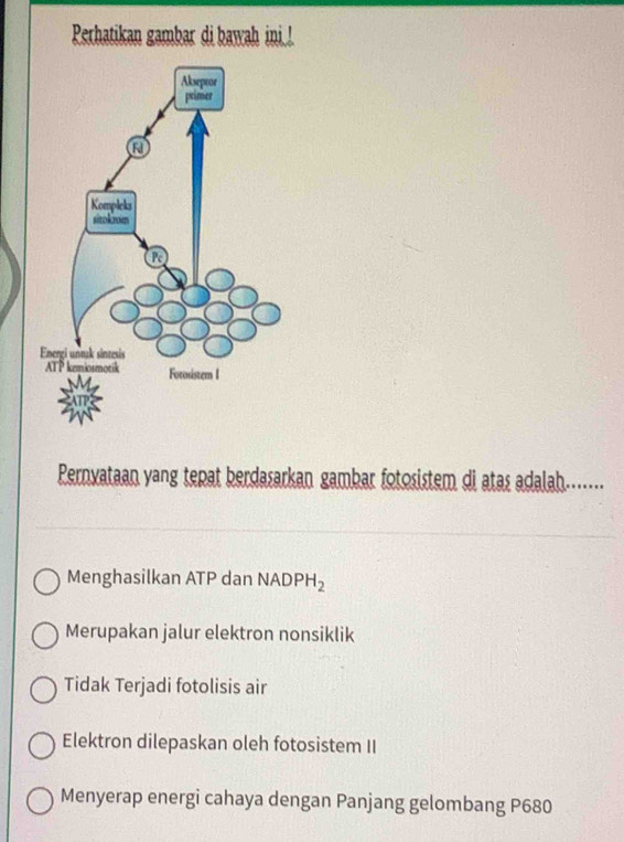 Perhatikan gambar di bawah ini !
Pernvataan yang tepat berdasarkan gambar fotosistem di atas adalah....
Menghasilkan ATP dan NADPH_2
Merupakan jalur elektron nonsiklik
Tidak Terjadi fotolisis air
Elektron dilepaskan oleh fotosistem II
Menyerap energi cahaya dengan Panjang gelombang P680