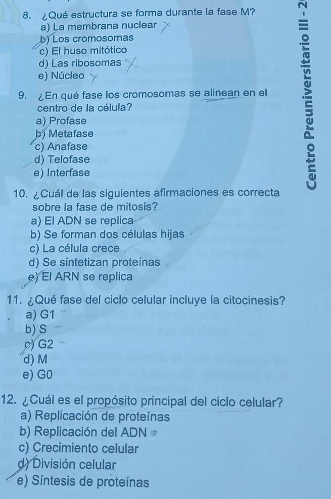 ¿Qué estructura se forma durante la fase M?
a) La membrana nuclear
b) Los cromosomas
c) El huso mitótico
d) Las ribosomas
e) Núcleo
9. En qué fase los cromosomas se alinean en el
centro de la célula?
a) Profase
b) Metafase
c) Anafase
d) Telofase
e) Interfase
10. ¿Cuál de las siguientes afirmaciones es correcta
sobre la fase de mitosis?
a) El ADN se replica
b) Se forman dos células hijas
c) La célula crece
d) Se sintetizan proteínas
e) El ARN se replica
11. ¿Qué fase del ciclo celular incluye la citocinesis?
a) G1
b) S
) G2
d) M
e) G0
12. ¿Cuál es el propósito principal del ciclo celular?
a) Replicación de proteínas
b) Replicación del ADN 
c) Crecimiento celular
d) División celular
e) Síntesis de proteínas