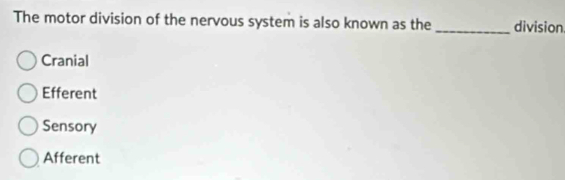 The motor division of the nervous system is also known as the _division
Cranial
Efferent
Sensory
Afferent