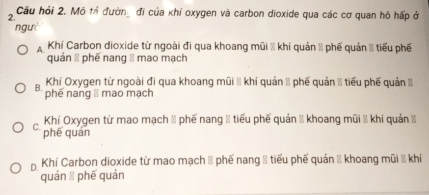 Câu hỏi 2. Mô tả đường đi của khí oxygen và carbon dioxide qua các cơ quan hô hấp ở
2.
ngưò
A. Khí Carbon dioxide từ ngoài đi qua khoang mũi → khí quản ỹ phế quản 2 tiểu phế
quán Đ phế nang ố mao mạch
Khí Oxygen từ ngoài đi qua khoang mũi ỹ khí quản ỹ phế quản ỹ tiểu phế quản Đ
B. phế nang ố mao mạch
Khí Oxygen từ mao mạch ố phế nang ố tiểu phế quản 1 khoang mũi → khí quản ở
C. phế quán
D. Khí Carbon dioxide từ mao mạch # phế nang → tiểu phế quản → khoang mũi # khí
quán ī phế quán