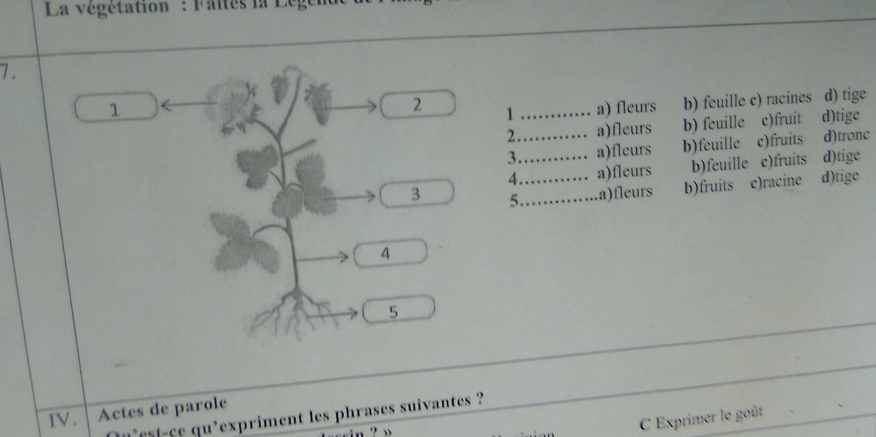 La végétation : Faites la Lègen
_
7.
1 _a) fleurs b) feuille c) racines d) tige
2
1 d)tige
2_ b) feuille c)fruit
a)fleurs
3 a)fleurs b)feuille c)fruits d)tronc
4_ a)fleurs b)feuille c)fruits d)tige
3 __a)fleurs b)fruits c)racine d)tige
5
4
5
_
IV. Actes de parole
'est-ce qu'expriment les phrases suivantes ?
C Exprimer le goût