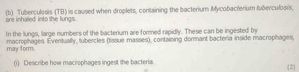 Tuberculosis (TB) is caused when droplets, containing the bacterium Mycobacterium tuberculosis, 
are inhaled into the lungs. 
In the lungs, large numbers of the bacterium are formed rapidly. These can be ingested by 
macrophages. Eventually, tubercles (tissue masses), containing dormant bacteria inside macrophages, 
may form. 
(i) Describe how macrophages ingest the bacteria. 
(2)