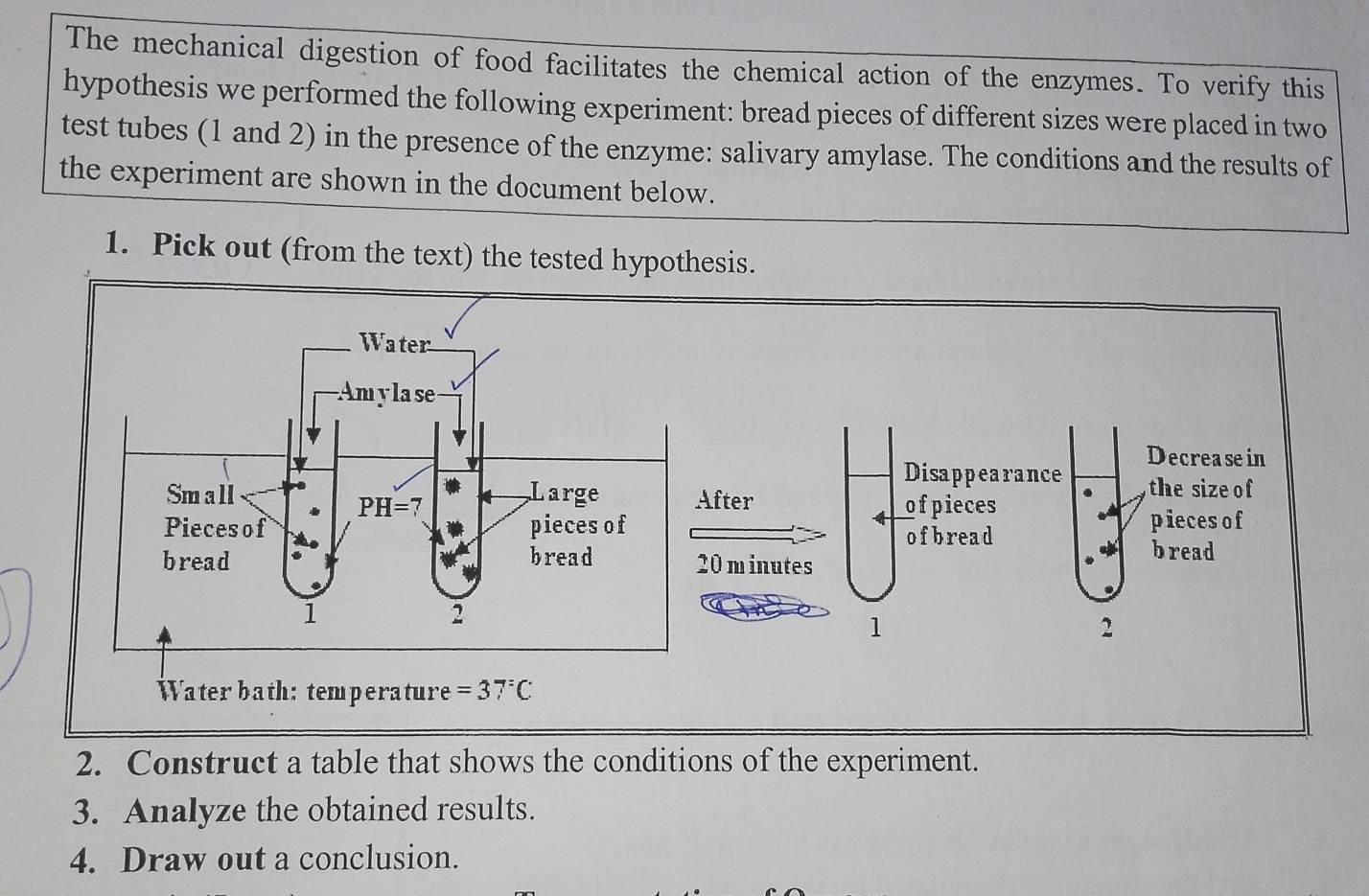 The mechanical digestion of food facilitates the chemical action of the enzymes. To verify this
hypothesis we performed the following experiment: bread pieces of different sizes were placed in two
test tubes (1 and 2) in the presence of the enzyme: salivary amylase. The conditions and the results of
the experiment are shown in the document below.
1. Pick out (from the text) the tested hypothesis.
Decreasein
Disappearance , the size o f
fter
ofpieces
pieces of
ofbread
bread
1
2
Water bath: temperature =37°C
2. Construct a table that shows the conditions of the experiment.
3. Analyze the obtained results.
4. Draw out a conclusion.