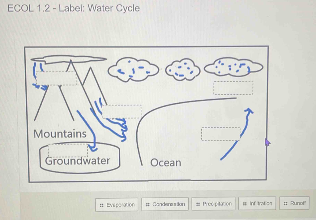 ECOL 1.2 - Label: Water Cycle
Evaporation Condensation Precipitation Infiltration Runoff