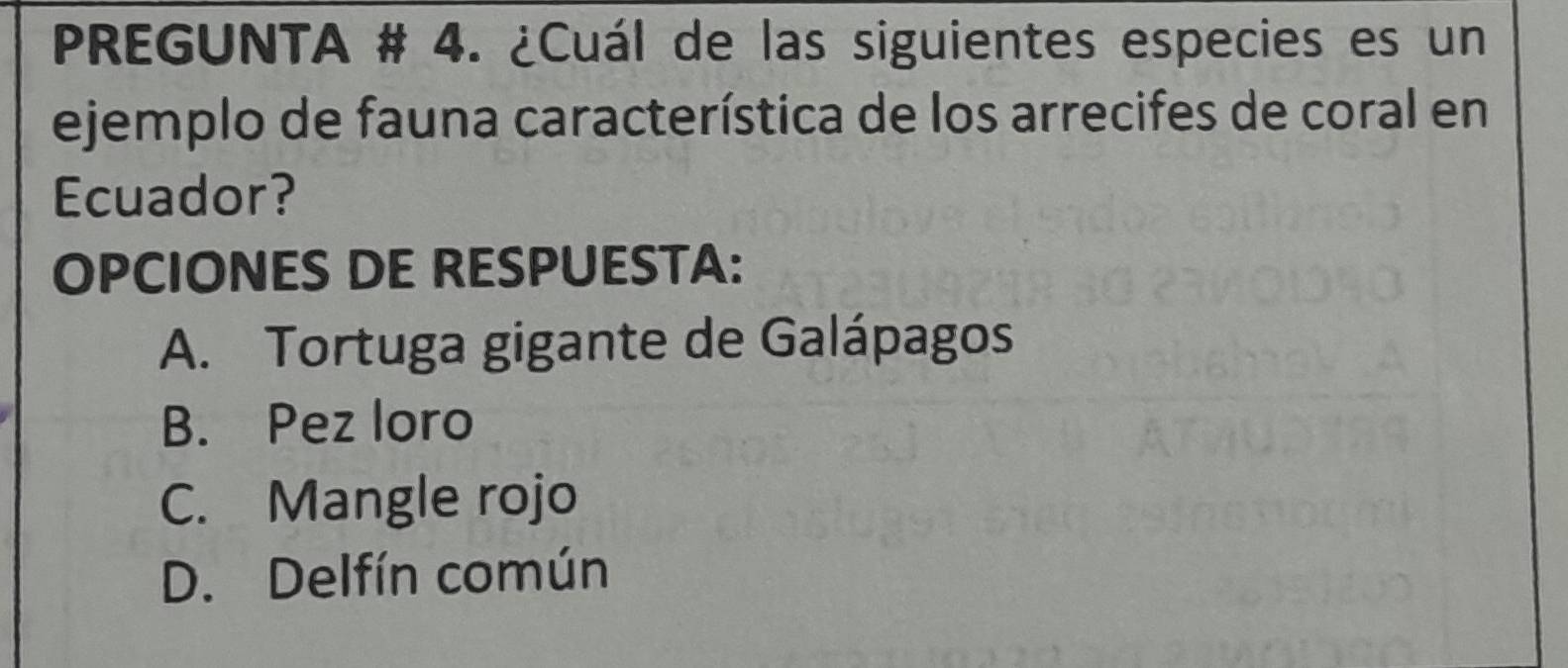 PREGUNTA # 4. ¿Cuál de las siguientes especies es un
ejemplo de fauna característica de los arrecifes de coral en
Ecuador?
OPCIONES DE RESPUESTA:
A. Tortuga gigante de Galápagos
B. Pez loro
C. Mangle rojo
D. Delfín común