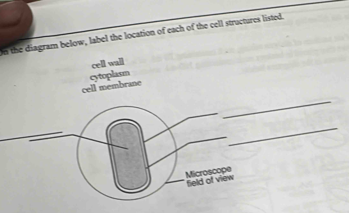 Solved: On the diagram below, label the location of each of the cell ...