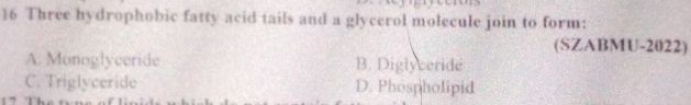 Three hydrophobic fatty acid tails and a glycerol molecule join to form:
(SZABMU-2022)
A. Monoglyceride B. Diglyceride
C. Triglyceride D. Phospholipid
