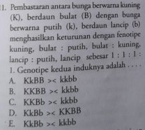 Pembastaran antara bunga berwarna kuning
(K), berdaun bulat (B) dengan bunga
berwarna putih (k), berdaun lancip (b)
menghasilkan keturunan dengan fenotipe
kuning, bulat : putih, bulat : kuning,
lancip : putih, lancip sebesar 1:1:1.
1. Genotipe kedua induknya adalah . . . .
A. KkBB>
B. KKBB>
C. KKBb>
D. KkBb>
E. KkBb>