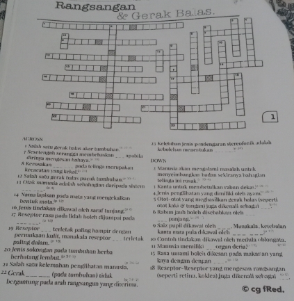 Rangsangan
las
AC fOr 2N
# Salah sata gerak balas akar tumbuhan  21 Kelchihan jenis pendengaran stereofunik adašah
7 Sesetengaï seranjm membebaskan apabila DOWN kebolchan mesertukan_
dirinya nengesan hahaya. pada telinga merupakan  * Manasia akan meegalamä masalal stuk
* Kerosakın kecacatan yang kekal."
12 Salah satu gerak balas pucuk tumbuhan. telinga ini rosak." menyeimbangkan hadan sekiranya hahajian 
13 Otak manuvía adaïah schalugian daripada sistem 1 Kanta untuk membetulkan rabun deka
_∞ 4
4 Jenis penglihatan yang dimilaki olel ayum.
14 Nama lapisan pada mata yang mengekalkan s Otot-otot vang meghasilkan gerak halas (seperti
bontuk mata.∞ + 
16 Jenis tindakan dikawal oleh saraf tunjang. otot kaki  ( tangan) juga dikenall schag  _v
_
17 Reweptor rasa pada lidah bolch dijumpai pada  6 Rahun janh boich däschabkan oich panjang.
To Tậ
terletak paling hampir dengan o Saïz pupil dikawa! olch kanta mata pula d-kawai oich  Manakala, ketebmlan
19 Reseptor permukaan kufit, manakala reseptor _terletak 10 Contoh tindakan dikawal olch medula oblongata.
paling dalam. L 16, 1 Manusia memiliki
20 Jemis sokongan pada tumbuhan herba 15 Rasa umami bolch dikesan pada makanan yang Lorgan deria!' 
berbatang lembut. kaya dengan denµan
21 Salah satu kelemahan penglihatan manusia.  18 Reseptor-Reseptor  yang mengesan rangsangan
22 Gerak_ (pada tumbuban) tidak (seperti retina, koklea) juga dikenali sehagai
bergantung pada arah rangsangan yang diterima. cg fRed.