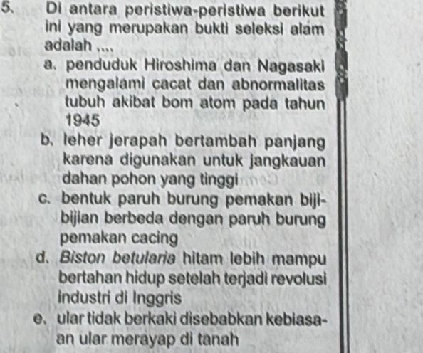 Di antara peristiwa-peristiwa berikut
ini yang merupakan bukti seleksi alam 
adalah ....
a. penduduk Hiroshima dan Nagasaki
mengalami cacat dan abnormalitas
tubuh akibat bom atom pada tahun
1945
b. leher jerapah bertambah panjang
karena digunakan untuk jangkauan
dahan pohon yang tinggi
c. bentuk paruh burung pemakan biji-
bijian berbeda dengan paruh burun
pemakan cacing
d. Biston betularia hitam lebih mampu
bertahan hidup setelah terjadi revolusi
industri di Inggris
e. ular tidak berkaki disebabkan kebiasa-
an ular merayap di tanah