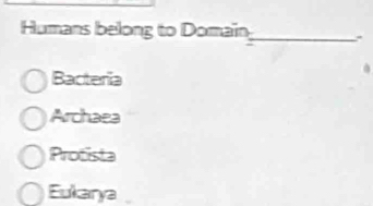 Humans belong to Domaïn_ .
Bacteria
Archaea
Protista
Eukarya