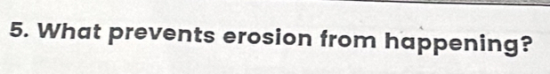 What prevents erosion from happening?