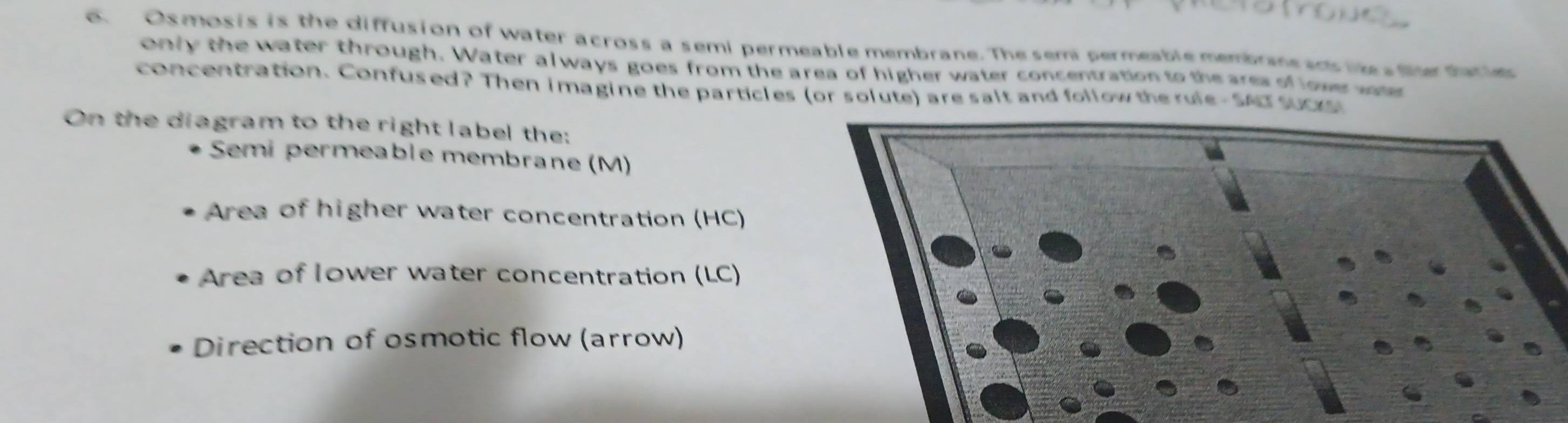 Osmosis is the diffusion of water across a semi permeable membrane. The sem permeable membrane ans he fer darie 
only the water through. Water always goes from the area of higher water concentration to the ares of lowe w 
concentration. Confused? Then imagine the particles (or solute) are salt and follow the rule - SA3 suc 
On the diagram to the right label the: 
Semi permeable membrane (M) 
Area of higher water concentration (HC) 
Area of Iower water concentration (LC) 
Direction of osmotic flow (arrow)