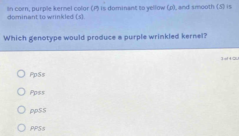 In corn, purple kernel color (P) is dominant to yellow (p), and smooth (S) is
dominant to wrinkled (s).
Which genotype would produce a purple wrinkled kernel?
3 of 4 QU
PpSs
Ppss
ppSS
PPSs