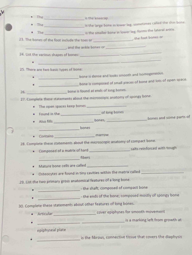 The _is the kneecap. 
The 
_is the large bone in lower leg; sometimes called the shin bone. 
The 
_is the smaller bone in lower leg; forms the lateral ankle. 
, the foot bones or 
23. The banes of the foot include the toes o_ 
_ and the ankle bones or 
_ 
24. List the various shapes of bones:_ 
_ 
_ 
_ 
25. There are two basic types of bone: 
_ 
bone is dense and looks smooth and homogeneous. 
_ 
bone is composed of small pieces of bone and lots of open space. 
26._ bone is found at ends of long bones. 
27. Complete these statements about the microscopic anatomy of spongy bone. 
The open spaces keep bones_ 
Found in the_ of long bones 
Also fills _bones, _bones and some parts of 
_ 
bones 
Contains _marrow 
28. Complete these statements about the microscopic anatomy of compact bone. 
Composed of a matrix of hard_ salts reinforced with tough 
_ 
fibers 
Mature bone cells are called_ 
Osteocytes are found in tiny cavities within the matrix called_ 
29. List the two primary gross anatomical features of a long bone. 
_ 
- the shaft; composed of compact bone 
_ 
- the ends of the bone; composed mostly of spongy bone 
30. Complete these statements about other features of long bones. 
Articular _cover epiphyses for smooth movement 
_ 
_ 
is a marking left from growth at 
epiphyseal plate 
_ 
is the fibrous, connective tissue that covers the diaphysis