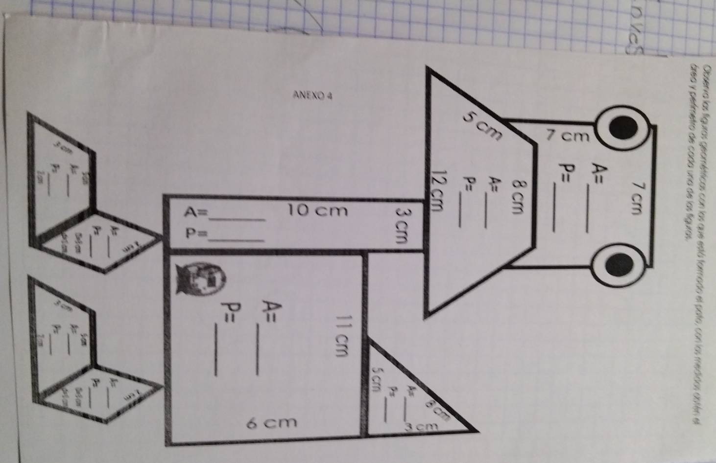 ANEXO 4 
a
5 cm
7 cm
_
A= 10 cm
P= _
6 cm
3