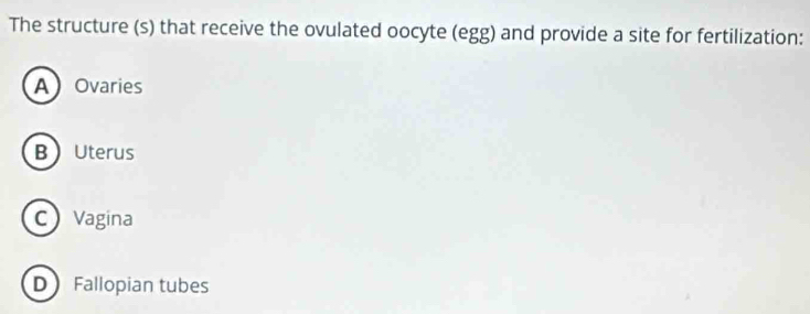 The structure (s) that receive the ovulated oocyte (egg) and provide a site for fertilization:
AOvaries
BUterus
C Vagina
D Fallopian tubes