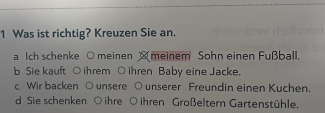 Was ist richtig? Kreuzen Sie an.
a Ich schenke ○ meinen meinem Sohn einen Fußball.
b Sie kauft ihrem ihren Baby eine Jacke.
c Wir backen unsere unserer Freundin einen Kuchen.
d Sie schenken ihre ihren Großeltern Gartenstühle.