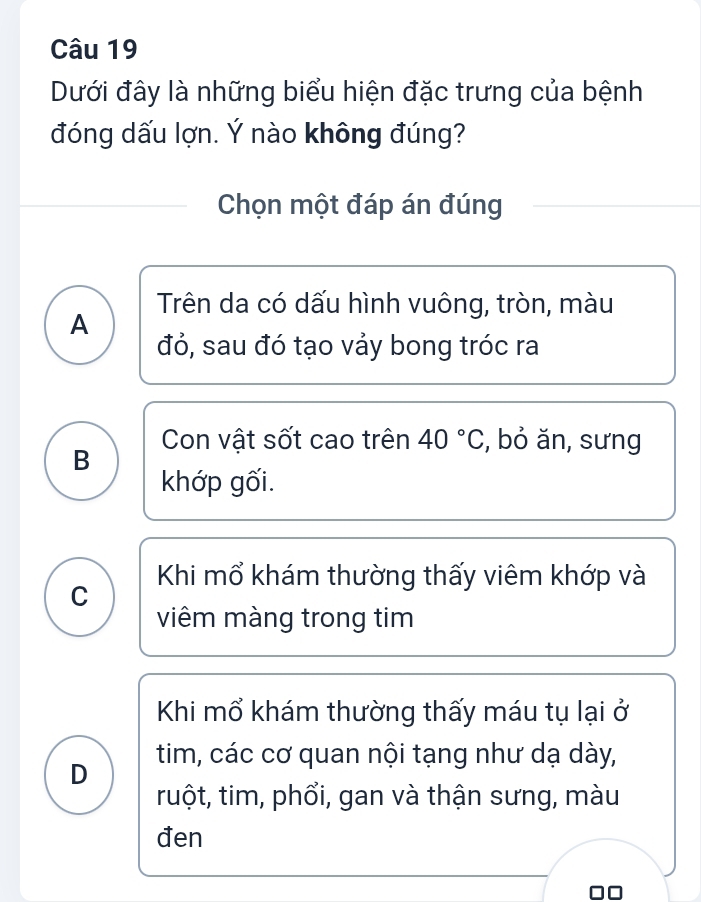 Dưới đây là những biểu hiện đặc trưng của bệnh
đóng dấu lợn. Ý nào không đúng?
Chọn một đáp án đúng
Trên da có dấu hình vuông, tròn, màu
A
đỏ, sau đó tạo vảy bong tróc ra
Con vật sốt cao trên 40°C , bỏ ăn, sưng
B
khớp gối.
Khi mổ khám thường thấy viêm khớp và
C
viêm màng trong tim
Khi mổ khám thường thấy máu tụ lại ở
D tim, các cơ quan nội tạng như dạ dày,
tuột, tim, phổi, gan và thận sưng, màu
đen