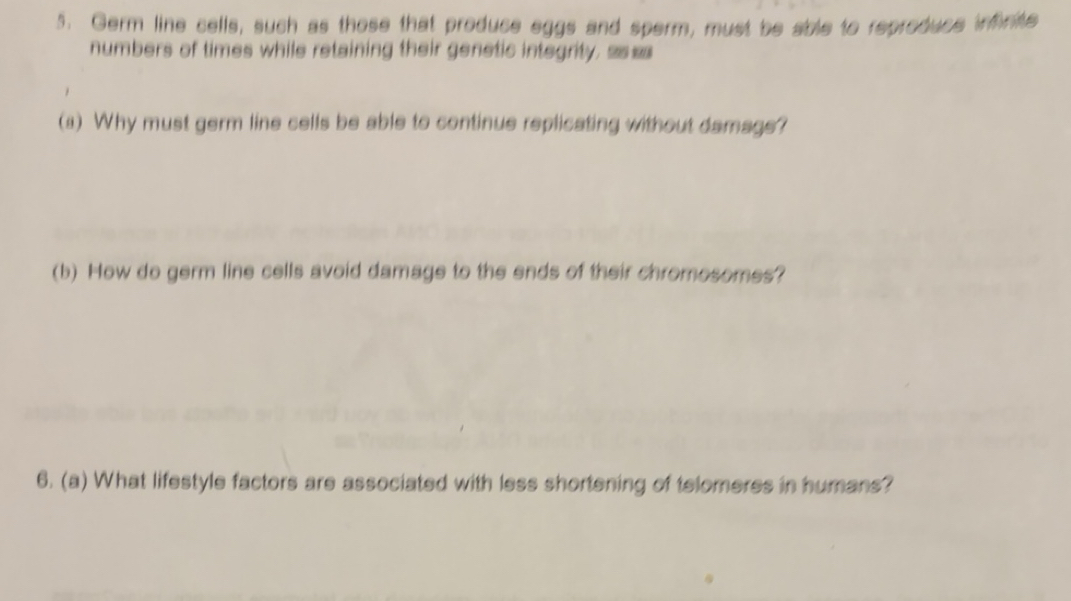 Solved: Germ line cells, such as those that produce eggs and sperm ...