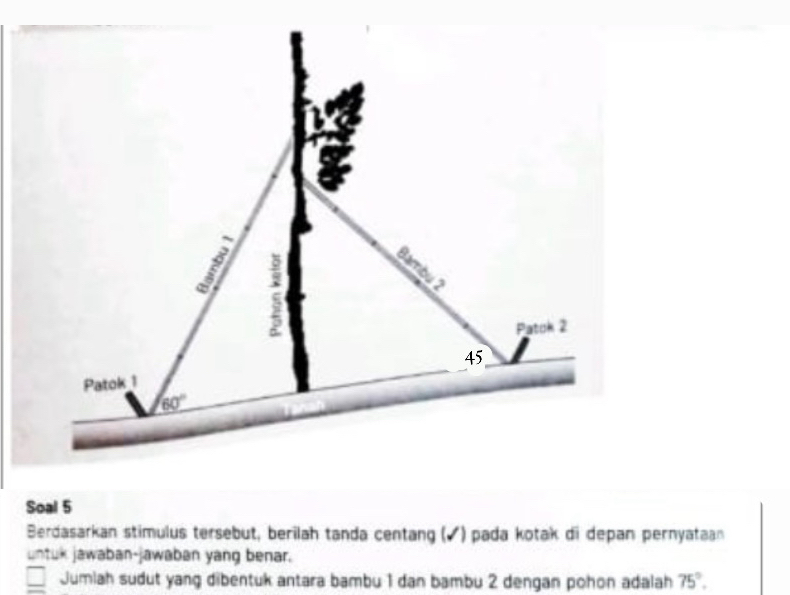 Soal 5
Berdasarkan stimulus tersebut, berilah tanda centang (◤) pada kotak di depan pernyataan
untuk jawaban-jawaban yang benar.
Jumlah sudut yang dibentuk antara bambu 1 dan bambu 2 dengan pohon adalah 75°.