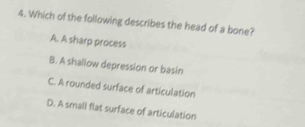 Which of the following describes the head of a bone?
A. A sharp process
B. A shallow depression or basin
C. A rounded surface of articulation
D. A small flat surface of articulation