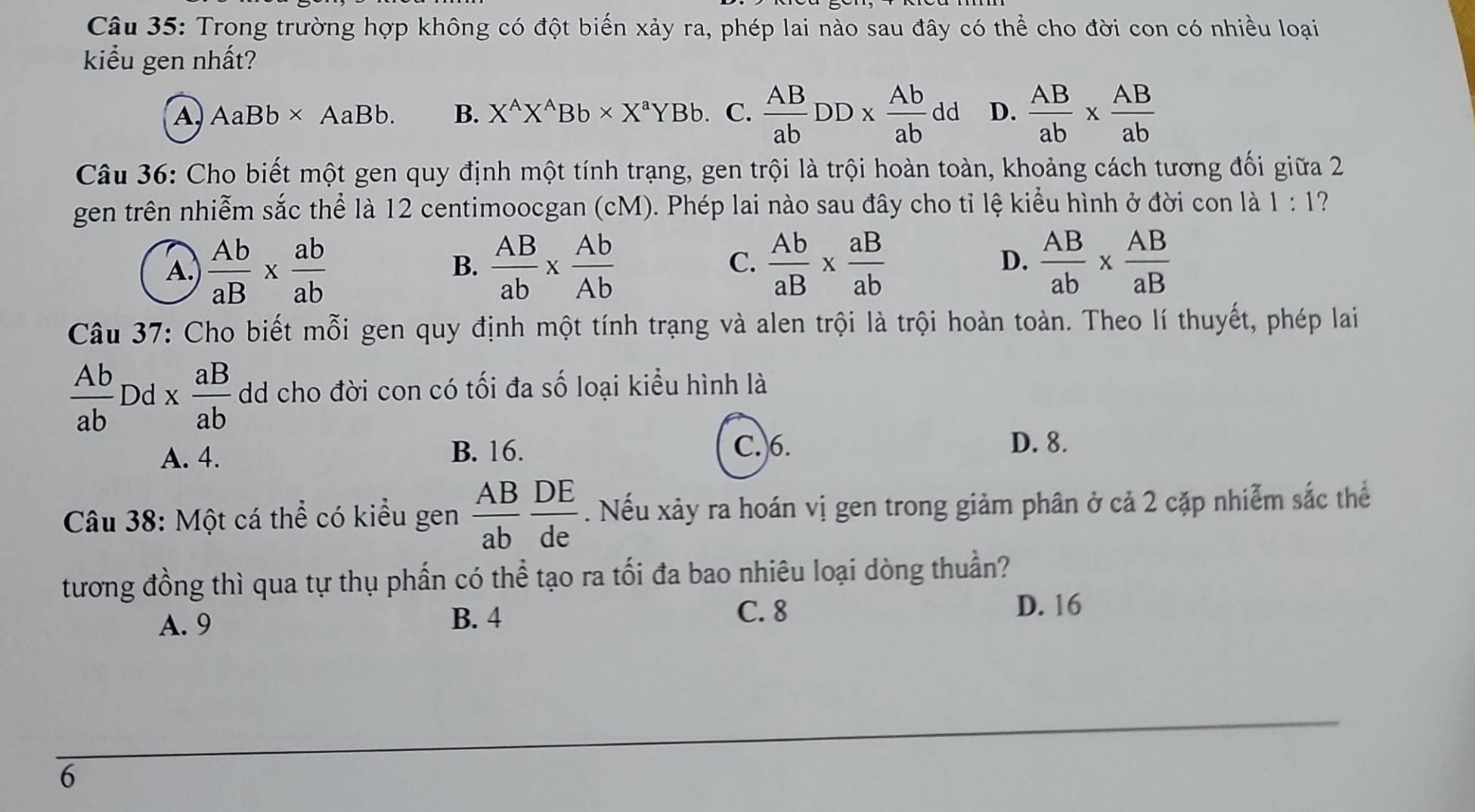 Trong trường hợp không có đột biến xảy ra, phép lai nào sau đây có thể cho đời con có nhiều loại
kiểu gen nhất?
A 1 AaBb* AaBb. B. X^AX^ABb* X^aYBb. C.  AB/ab DD*  Ab/ab  dd D.  AB/ab *  AB/ab 
Câu 36: Cho biết một gen quy định một tính trạng, gen trội là trội hoàn toàn, khoảng cách tương đối giữa 2
gen trên nhiễm sắc thể là 12 centimoocgan (cM). Phép lai nào sau đây cho tỉ lệ kiểu hình ở đời con là 1:1 ?
A  Ab/aB *  ab/ab 
B.  AB/ab *  Ab/Ab   Ab/aB *  aB/ab   AB/ab *  AB/aB 
C.
D.
Câu 37: Cho biết mỗi gen quy định một tính trạng và alen trội là trội hoàn toàn. Theo lí thuyết, phép lai
 Ab/ab  Dd x aB/ab  dd cho đời con có tối đa số loại kiểu hình là
A. 4.
B. 16. C. 6. D. 8.
Câu 38: Một cá thể có kiểu gen  AB/ab  DE/de . Nếu xảy ra hoán vị gen trong giảm phân ở cả 2 cặp nhiễm sắc thể
tương đồng thì qua tự thụ phần có thể tạo ra tối đa bao nhiêu loại dòng thuần?
A. 9 B. 4
C. 8 D. 16
_
_
6